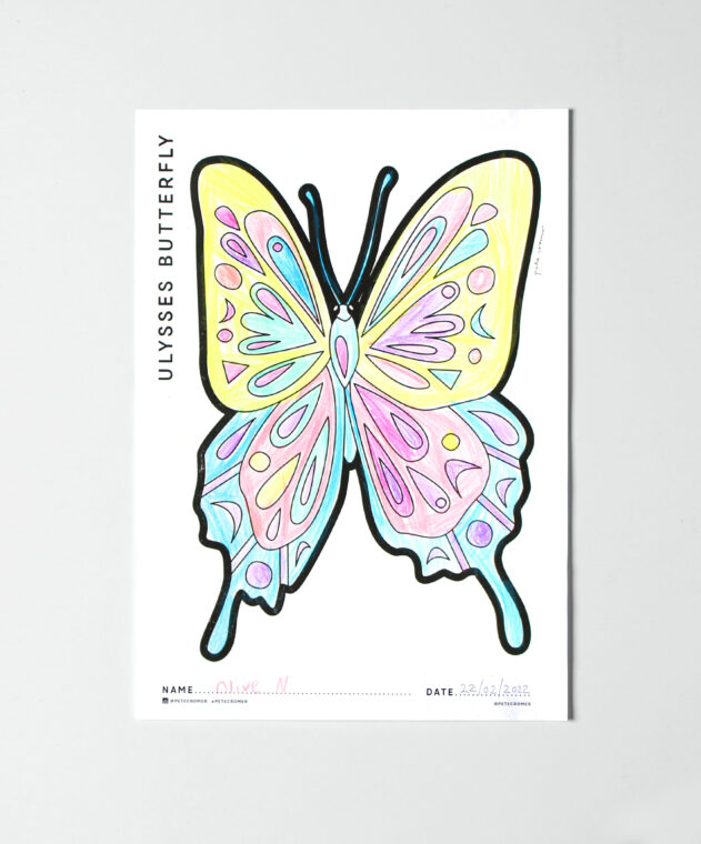 Insects - Colour Me In Printables - Pete Cromer
